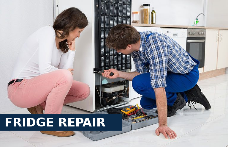 Fridge Repair Tulse Hill